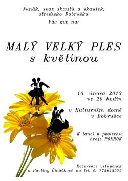 Plakát plesu, 2013-02-16 Skautsky ples Dobruska.jpg